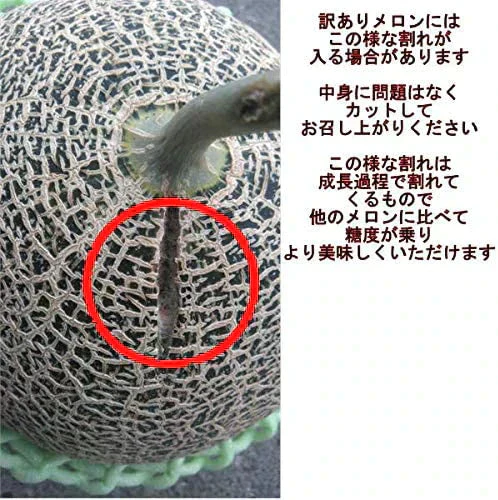 【6月上旬～7月上旬発送予定】肥後グリーンメロン 訳あり 箱込約７キロ（3～6玉入り）熊本産　120サイズ