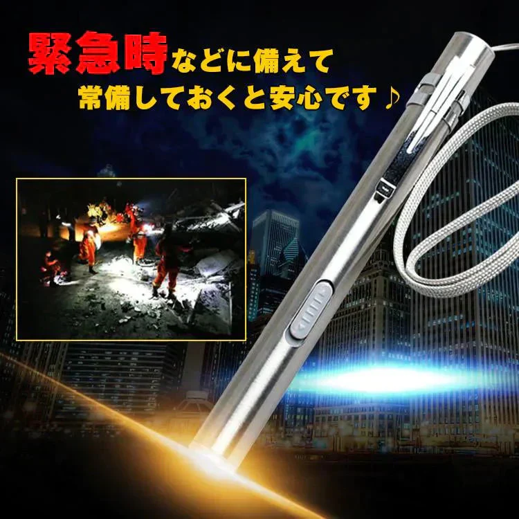 ペンライト LED ステンレス USB 充電 防災 作業灯 警告灯 クリップ ストラップ 【防災グッズがお得】