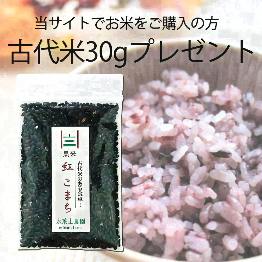 【精米セット】秋田県産あきたこまち 900g & ミルキークイーン 900g 令和5年産【古代米プレゼント付き】