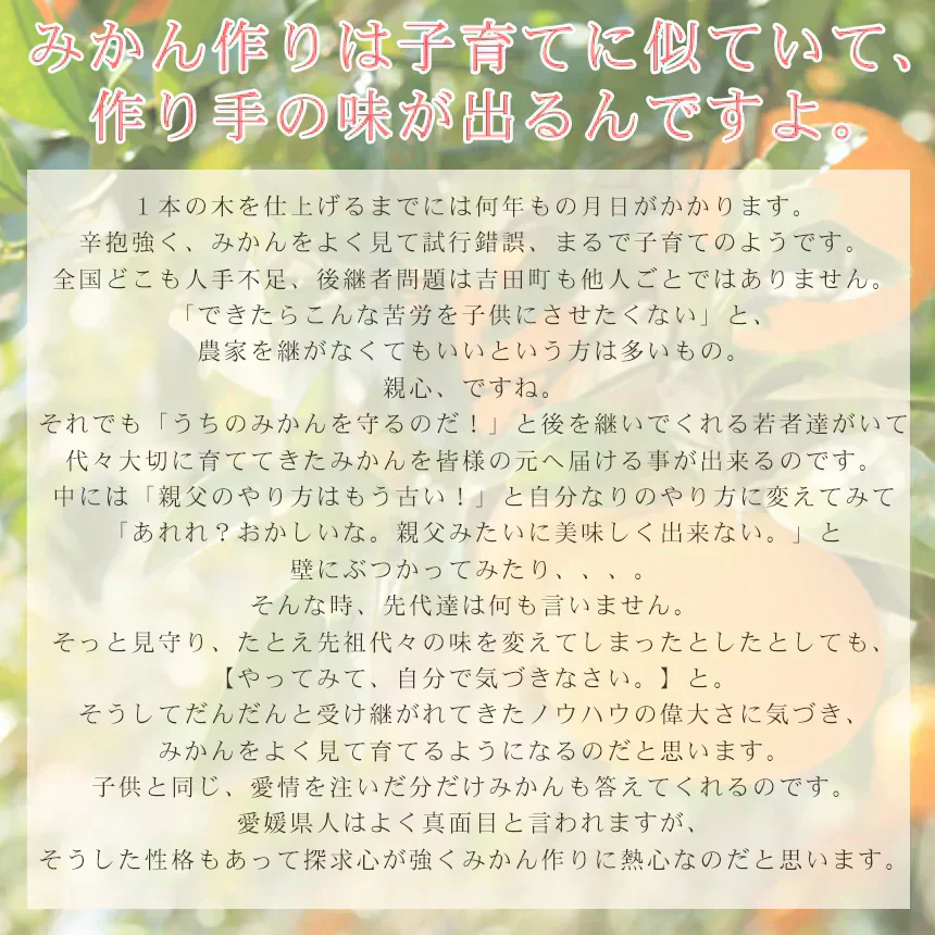 みかん　吉田みかん　５ｋｇ　ｆ吉０５　家庭用　M～2L　愛媛　吉田　果物　フルーツ　柑橘　ミカン　蜜柑　　訳あり　送料無料
