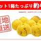 土佐文旦 訳あり 4kg 送料無料 ご家庭用 箱買い サイズミックス みかん 柑橘 フルーツ 果物 産地直送 愛媛県産 YDF-008