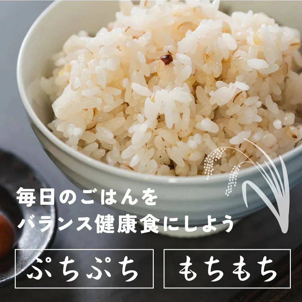 雑穀 雑穀米 国産 健康重視ヘルシーブレンド 4kg(400g×10袋) 無添加 無着色 徳用サイズ 送料無料