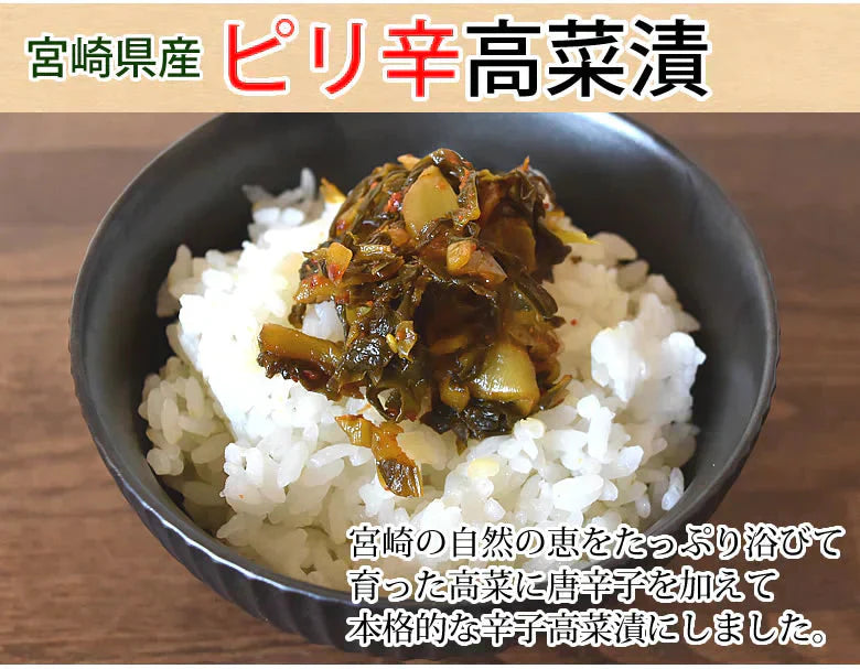 辛子高菜漬 高菜 漬物 600g（150g×4袋） 送料無料 お試し お取り寄せ 宮崎県産 ピリ辛たかな ポイント消化 つけもの