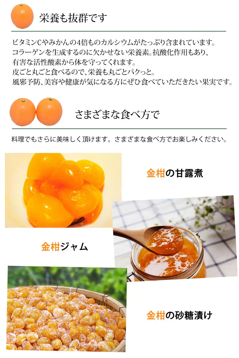 金柑 みかん 完熟フルーツきんかん 送料無料 1kg 熊本県産 ハウス栽培 柑橘