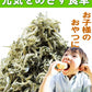 広島 訳あり  少し柔らかめ ちりめんじゃこ 240g 広島産 無添加 無選別 大きめ わけあり 国産 メール便限定  ぽっきり ポッキリ カタクチイワシ