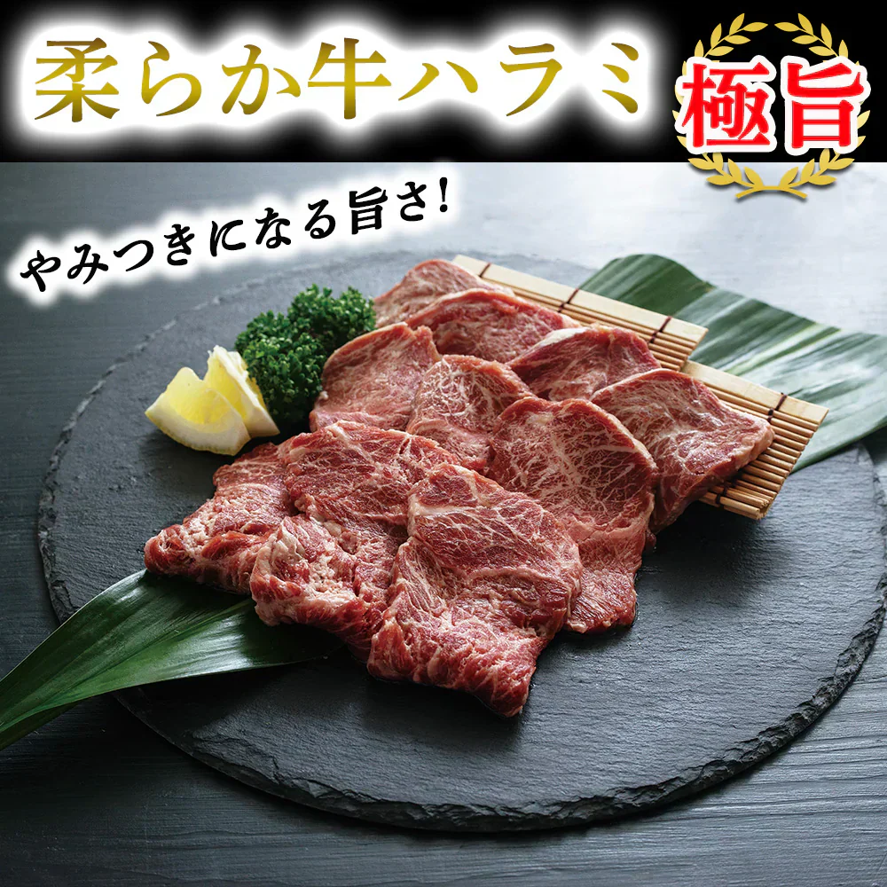 ハラミ 1kg 牛ハラミ やわらかハラミ ハラミ肉 サガリ 牛肉 肉 焼肉 バーベキュー BBQ グルメ メーカー直送 shr-003