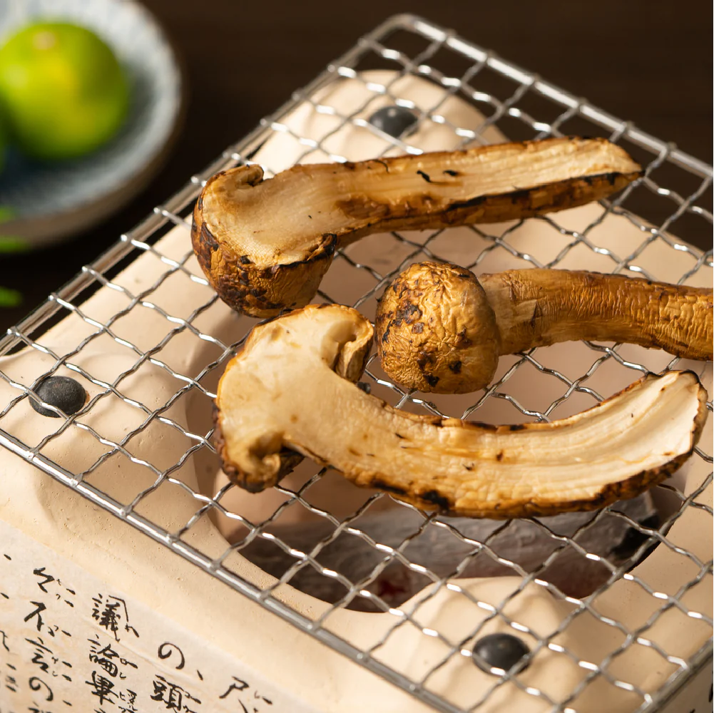 ＜11月下旬まで＞国産 松茸 約500g 木箱入り 長野県産（または岩手・宮城県産）最高級 天然 検査済 つぼみ まつたけ マツタケ キノコ きのこ ギフト 贈答 贈答品 野菜ギフト ご贈答用 即発送