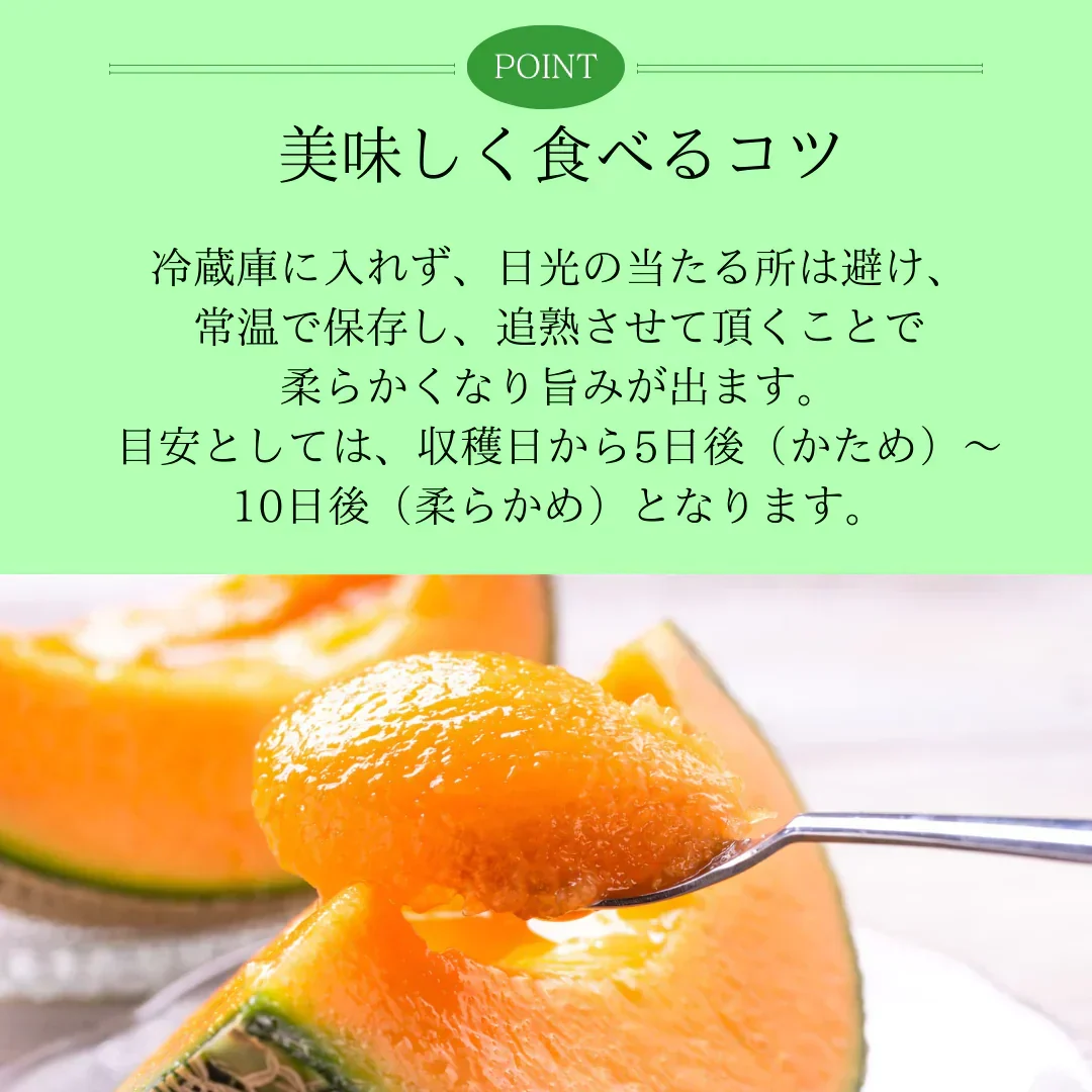 【訳あり】富良野産赤肉メロン　1玉1.6kg以上大玉　2玉入り
