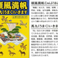 駿馬レッドブレスレット [ ブレスレット 赤 白水晶 赤メノウ 黄水晶 白馬 自己実現 健康 長寿祈願 長寿 天然石 男女兼用 レディース メンズ 開運 お守り 御守り 邪気払い 水晶 パワーストーン 日本製 国内産 ]