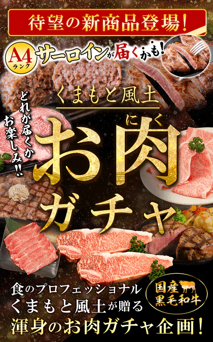 【新商品★お肉ガチャ】＼A4ランク黒毛和牛サーロインが当たるかも！？／ 黒毛和牛 A4ランク サーロイン リブ ハンバーグ クラシタ 肩ローススライス 福袋 《3-7営業日以内に発送予定(土日祝日を除く)》