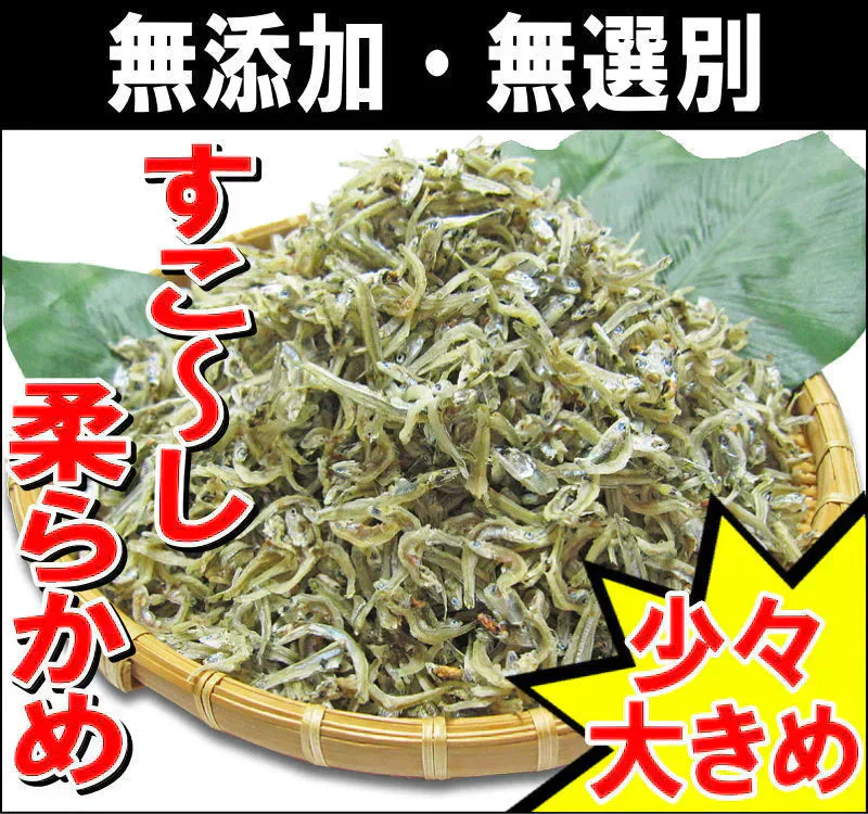 広島 訳あり  少し柔らかめ ちりめんじゃこ 120g 広島産 無添加 無選別 大きめ わけあり 国産 メール便限定  ぽっきり ポッキリ カタクチイワシ【プチプラ特集】