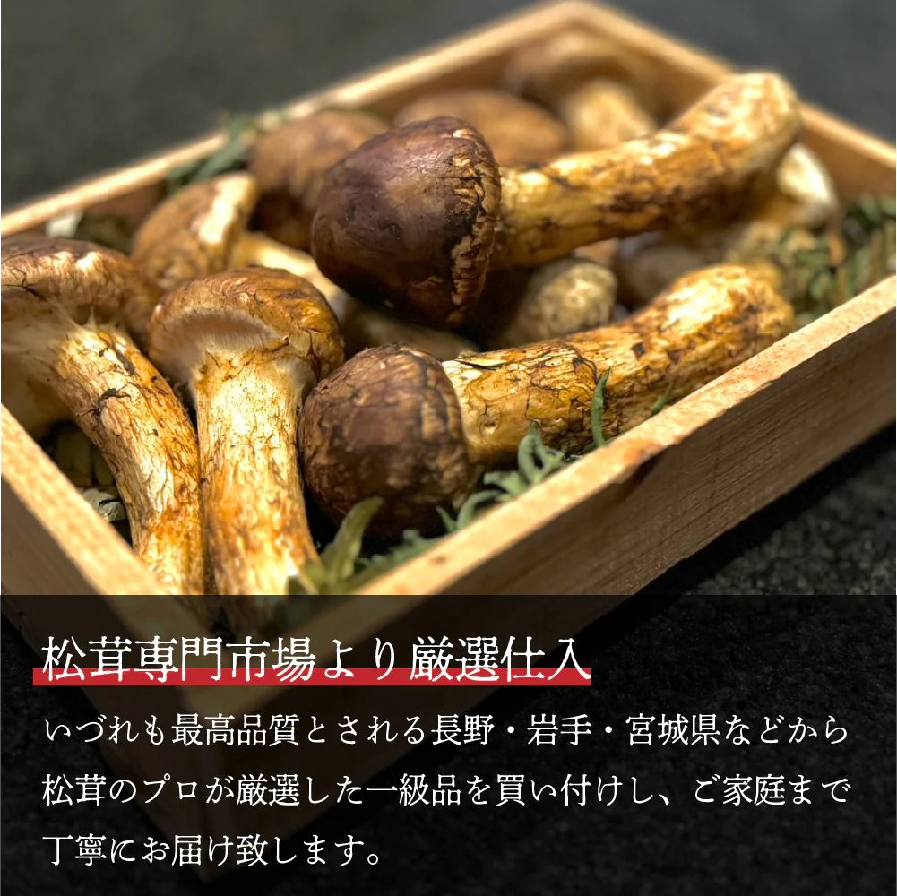 ＜11月下旬まで＞国産 松茸 約500g 木箱入り 長野県産（または岩手・宮城県産）最高級 天然 検査済 つぼみ まつたけ マツタケ キノコ きのこ ギフト 贈答 贈答品 野菜ギフト ご贈答用 即発送
