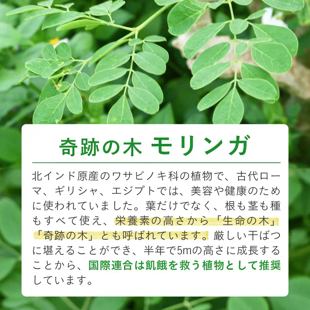 沖縄県産　モリンガ《約1ヶ月分》 モリンガ 粒 150粒 無農薬栽培 着色料 保存料 不使用