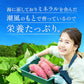 干し芋 1kg ギフトプレゼント 干しいも ほし芋 国産 訳あり 無添加 茨城県産 紅はるか べにはるか 切り落とし 芋 スイーツ お菓子 和菓子 スイーツ さつまいも 和スイーツ お取り寄せスイーツ ほしいも わけあり N