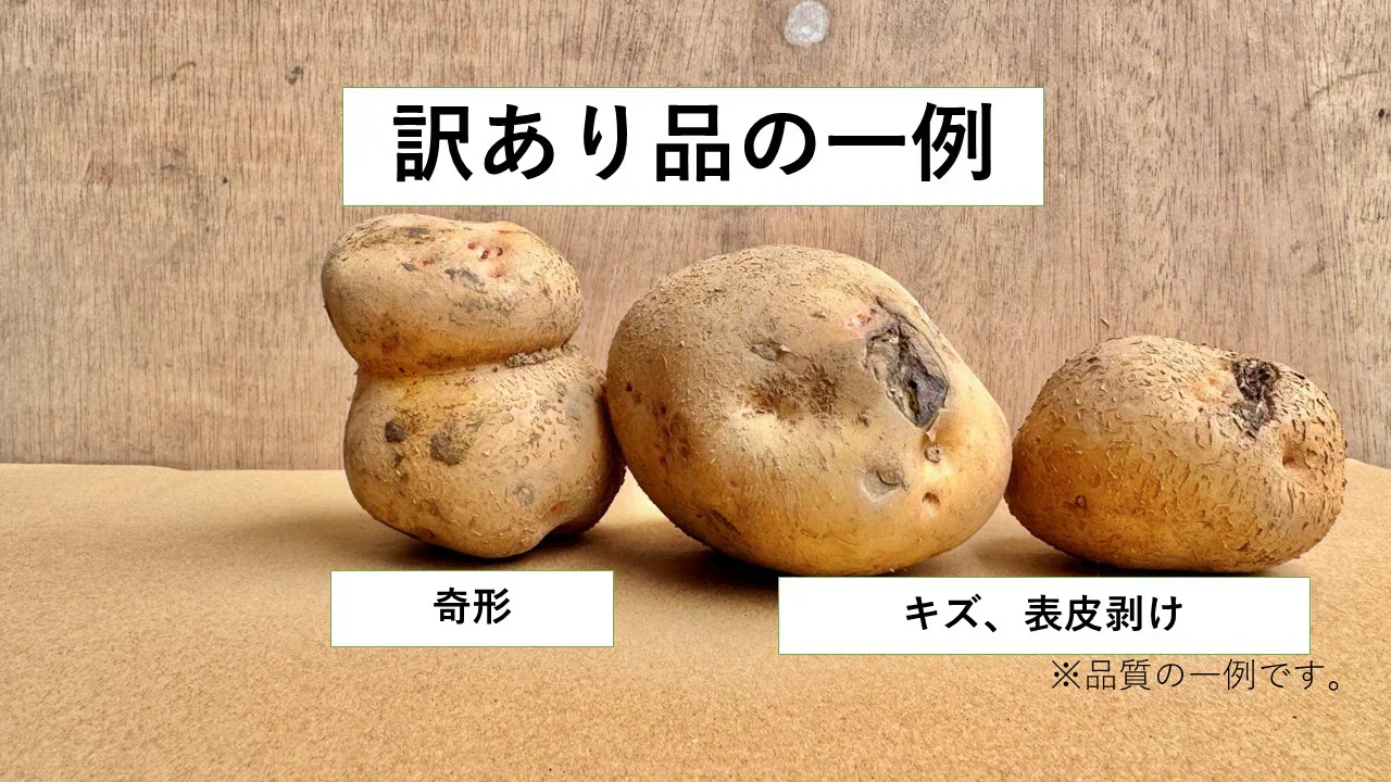 訳あり北海道じゃがいも　5kg
