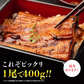 巨大うなぎ蒲焼 2尾 400g前後×2本 かばやき ウナギ うなぎ 土用丑の日 鰻蒲焼 送料無料 冷凍便 お取り寄せグルメ 食品 ギフト