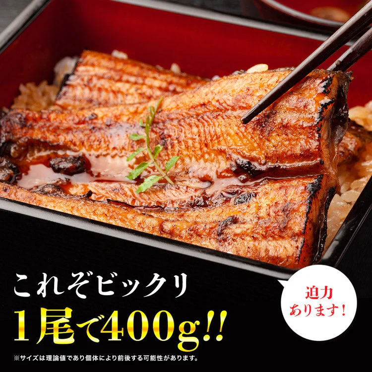 巨大うなぎ蒲焼 2尾 400g前後×2本 かばやき ウナギ うなぎ 土用丑の日 鰻蒲焼 送料無料 冷凍便 お取り寄せグルメ 食品 ギフト