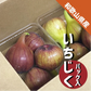 和歌山県産 いちじく ２パック ご家庭用 イチジク 無花果 紀の川市