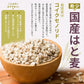 雑穀 雑穀米 国産 麦５種ブレンド 1.6kg(400g×4袋) [丸麦/押麦/はだか麦/もち麦/はと麦] 無添加 無着色 人気サイズ 送料無料