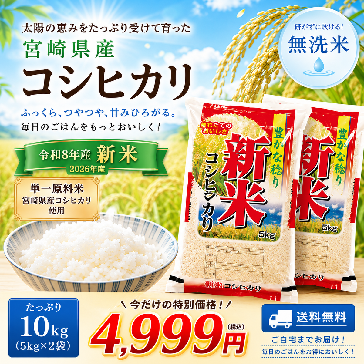 令和8年産 10kg 宮崎県産コシヒカリ 送料無料 10キロ 無洗米 節水 5kg×2