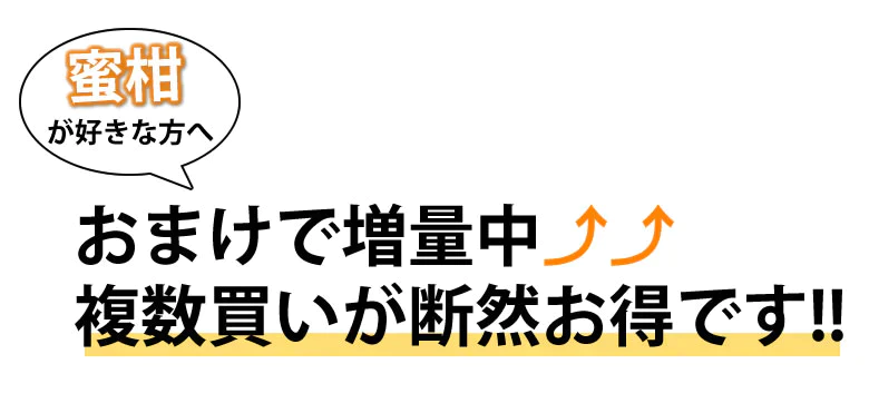 みかん 温州みかん 送料無料 訳あり 2kg 2セット購入で1kgおまけ 3セット購入で3kgおまけ 熊本県産 熊本みかん 蜜柑 ミカン