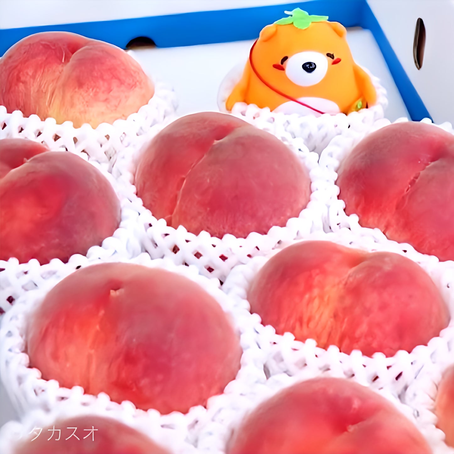 【数量限定】 白鳳 紀の川筋名産品 ４kg １５玉入り 送料無料 産地直販だから出来る品質 産地でも売り切れ必至 ７月上旬より順次発送 最高 赤秀品