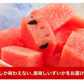 大玉 すいか  6kg以上 熊本県産 送料無料 スイカ 訳あり ジャンボスイカ   熊本 旬 の 果物 夏 キャンプ 家庭用 自家用 フルーツ 果物 甘い《7-14営業日以内に発送予定（土日祝除く）》