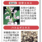 【薬用 ツブクリン プレミアム】目元をピンポイント集中ケア！濃厚な薬用ジェルでポツポツ ヨクイニン クリーム イボ いぼ取りクリーム ポイント 倍 いぼ 除去 イボ取り 首 角質粒 目もと ヨクイニン ハトムギクリーム ツブナイト 目元ポツポツ 首元角質 集中ケア 薬用ジェル はとむぎ配合 ペンシルタイプ ピンポイント ジェル ペン 医薬部外品 甘草 国産 日本製 はとむぎ 目元 美容液 角質層 角質 ピンポイントでケア 集中ケア