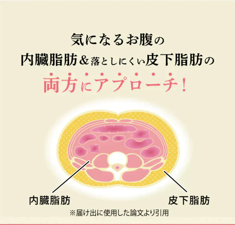 体脂肪が気になる方のプーアール茶　ヘルシーボ　30個入（ 4ｇティーバッグ ×30個入 約60～90杯分 機能性表示食品 健康茶 お茶 ローズヒップエキス ）