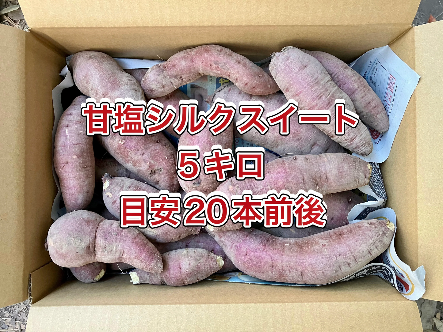 【鹿児島産】甘塩シルクサツマイモ箱込み5キロ^_^