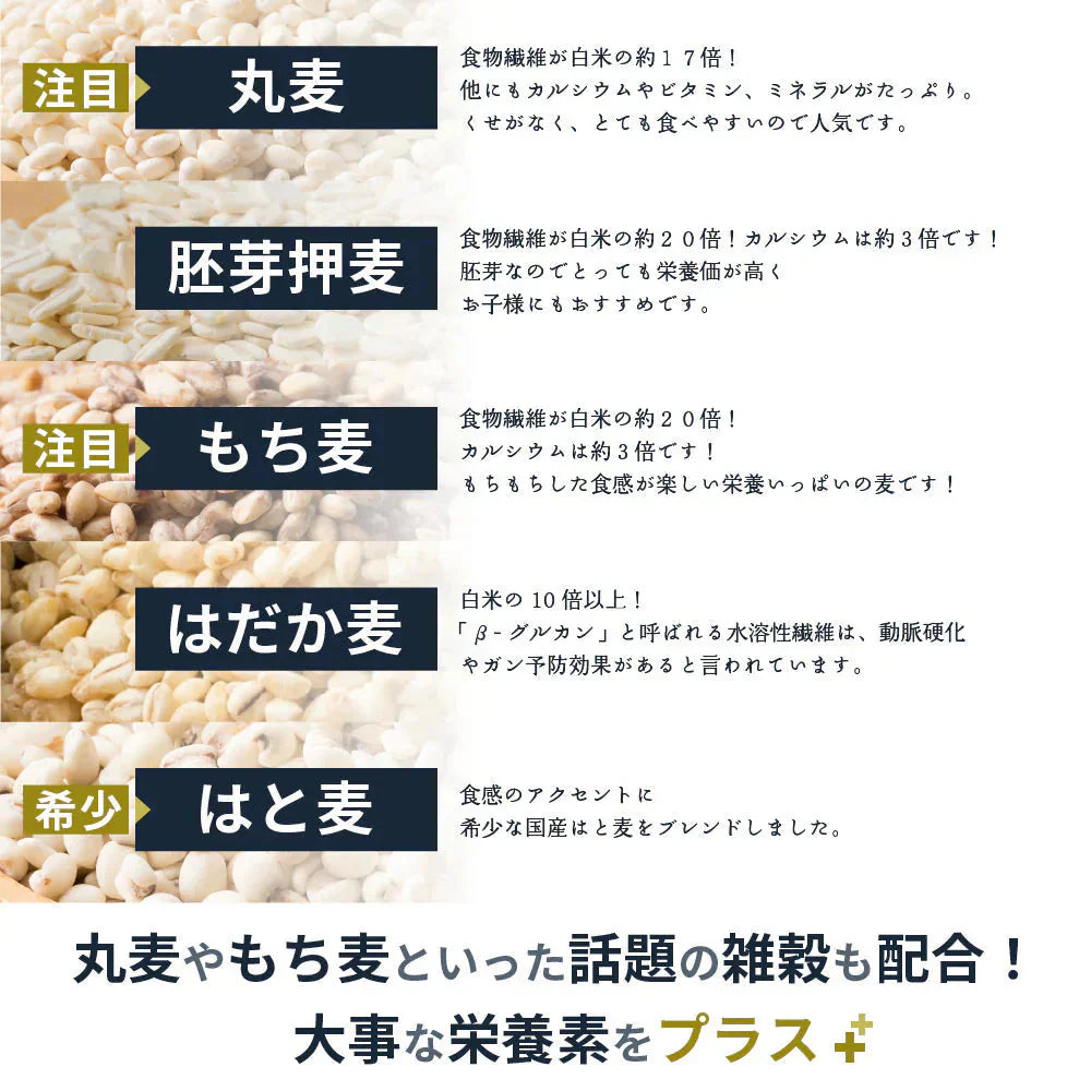 雑穀 雑穀米 国産 麦５種ブレンド 1.6kg(400g×4袋) [丸麦/押麦/はだか麦/もち麦/はと麦] 無添加 無着色 人気サイズ 送料無料