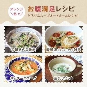 お試しサイズ とろりんスープ昆布と海藻 オートミールプラス［約20杯分］120g×1袋 プレーン