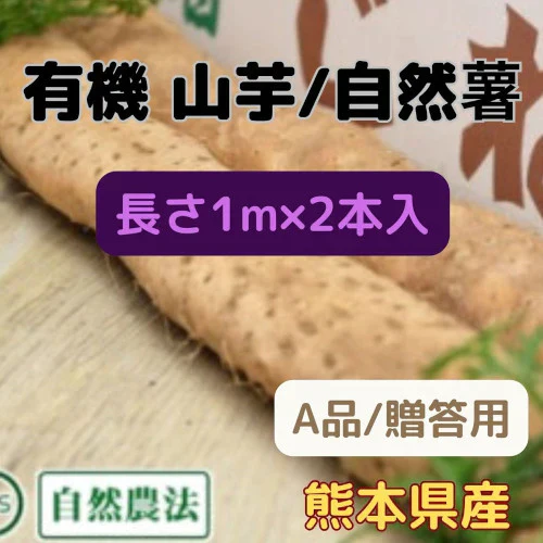 山芋 / 自然薯（有機JAS認証 / A品）熊本県産　長さ1M×2本