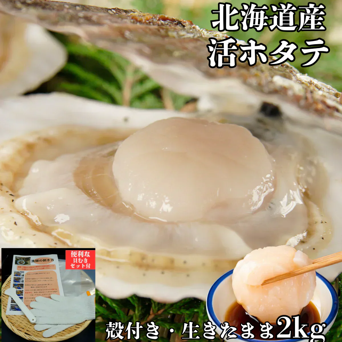 北海道産 活ホタテ2Kg 殻付きホタテ お刺身にもBBQにも 便利な剥きヘラ付き