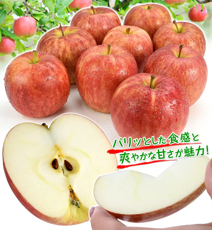 りんご 青森産 サンつがる 約3kg