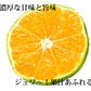 【10月上旬～中旬頃より順次出荷】みかん 10kg 熊本みかん 送料無料 秀品 2S〜L 熊本県産 極早生みかん お取り寄せ 蜜柑 ミカン