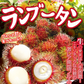 ランブータン 15玉 メキシコ産他