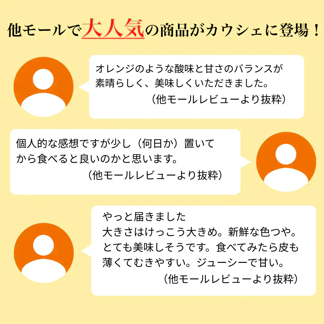 せとか みかん 送料無料 ハウス栽培 秀品 2kg 希少品種 熊本県産 蜜柑 清見 アンコール マーコット