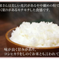 森のくまさん 米 送料無料 5kg 令和5年産 新米 熊本県産 白米 お米 こめ 新米 ひのひかり こしひかり