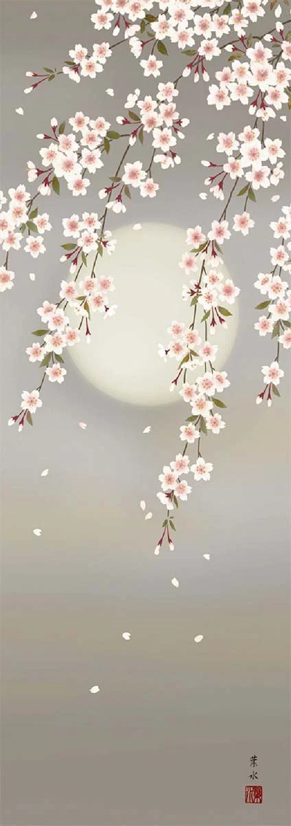 掛軸　「夜桜」　緒方葉水　筆