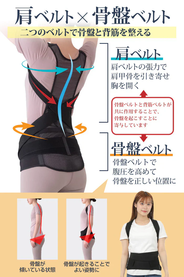 骨盤からととのえるメッシュの背筋サポーター(Mサイズ)/背筋を伸ばして骨盤を引き締める 理学療法士監修 背筋 骨盤 肩甲骨 姿勢 猫背 S字ライン姿勢矯正ベルト 男女兼用 美矯正サポーター 骨盤 腰 ダイエット 体幹 姿勢 シェイプアップ ヒップアップ 代謝アップ ウエスト くびれ 下半身 下腹背筋 引き締める 背筋 肩甲骨 姿勢 猫背 S字ライン