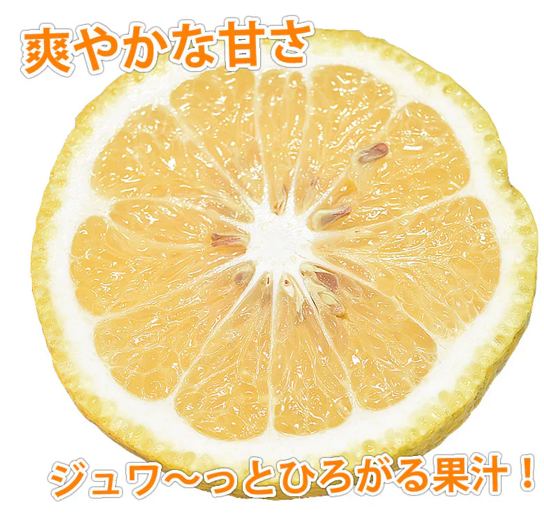 はるか みかん 送料無料 秀品 5kg S～2L 平成生まれの品種 はるかみかん ミカン 蜜柑