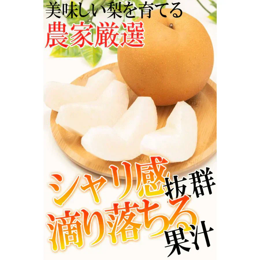 福島県産 梨 なし 2kg箱 ★秀品★品種おまかせ