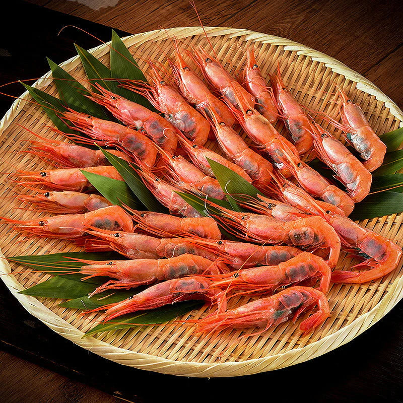 越前産 甘えび 子持ち特大サイズ 500g（約30尾入り） 甘エビ 刺身用 ［送料無料］ 産地直送 海鮮 エビ セット 海老 大 甘海老 美味しい 大きい えび 冷凍えび 冷凍エビ 食品ギフト ごちそう 贈り物 贈答 母の日 プレゼント ギフト【フレッシュセール】