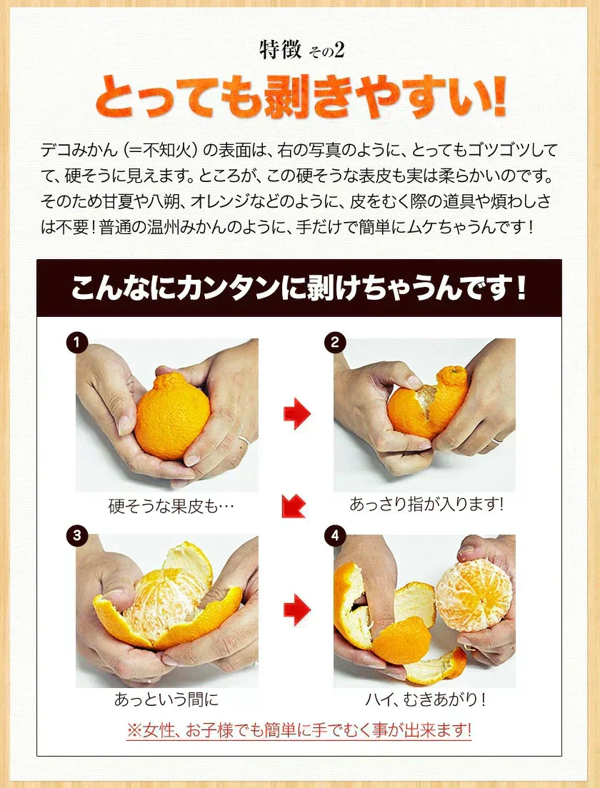 【本場熊本県産】デコみかん 訳あり 1.5kg 送料無料 不知火 みかん ミカン 熊本県産 訳あり デコポン と同品種 くまもと風土 ≪1-5営業日以内に発送予定（土日祝除く）≫
