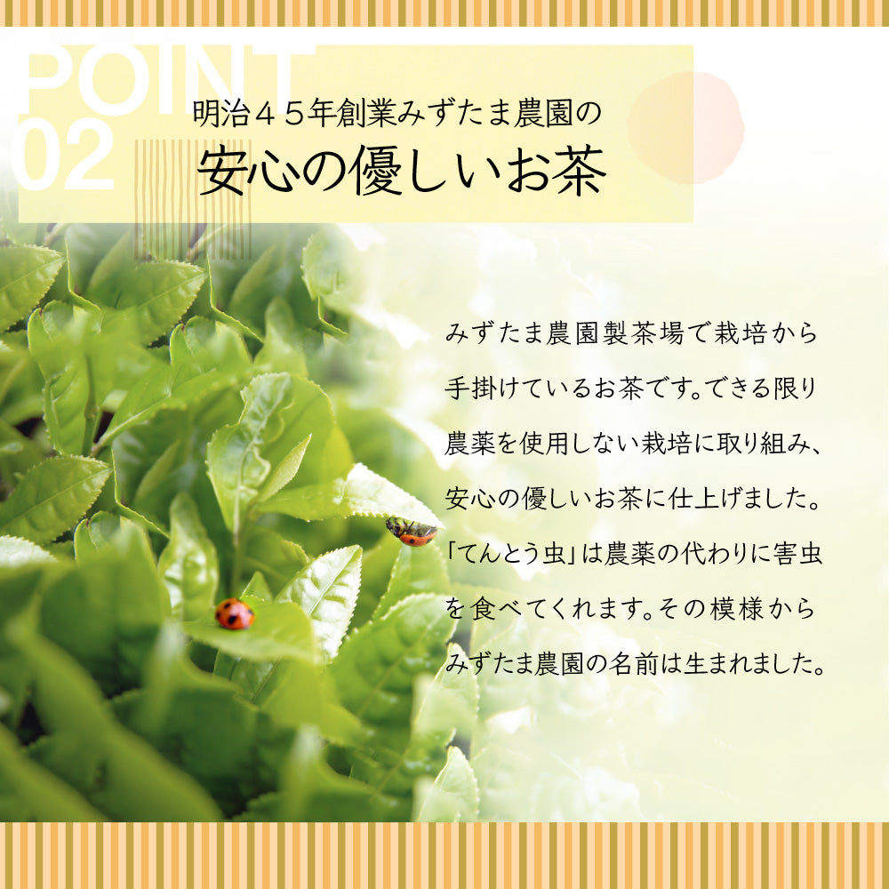 【在庫処分！】玄米茶 2ｋｇお茶　玄米茶  国産 静岡 静岡茶 牧之原 牧之原茶 無添加  大容量 冷茶  茶 玄米 国産米 入り米 深蒸し茶