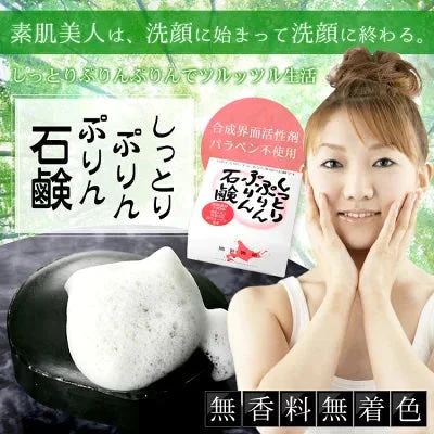 登別温泉 しっとりぷりんぷりん石鹸１００ｇ  熊笹 茶エキス 熊笹竹炭 鮭コラーゲン アンチエイジング ニキビ 全身 洗顔