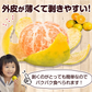 【大容量】熊本県産 訳あり 小玉 みかん 9kg 熊本 送料無料 小玉みかん ミカン フルーツ お取り寄せ 柑橘 フルーツ 果物   《9月中旬-10月中旬頃より発送予定》