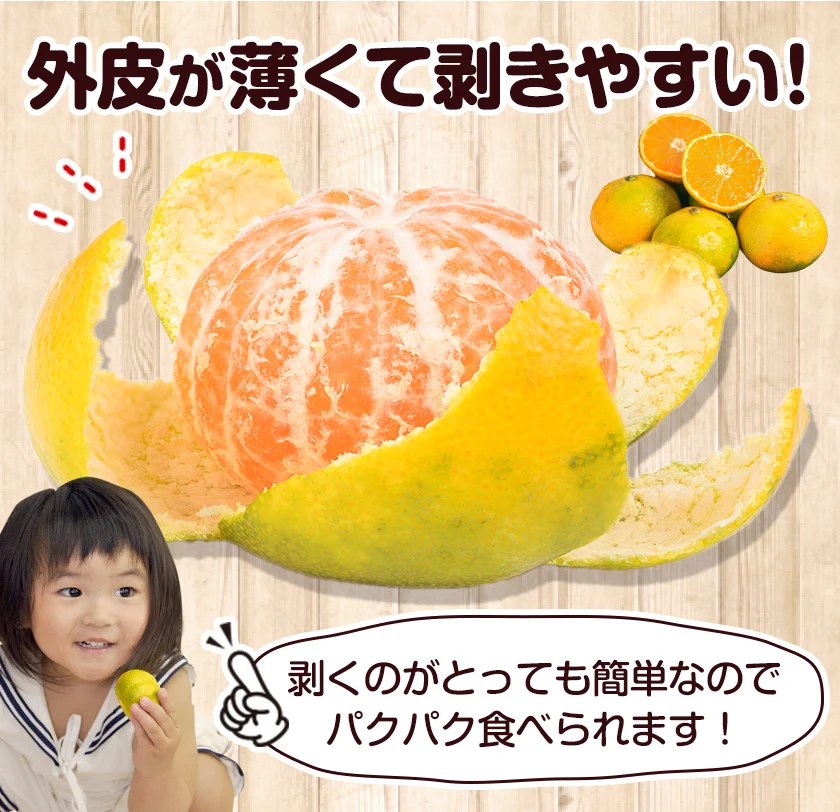 【大容量】熊本県産 訳あり 小玉 みかん 9kg 熊本 送料無料 小玉みかん ミカン フルーツ お取り寄せ 柑橘 フルーツ 果物   《9月中旬-10月中旬頃より発送予定》