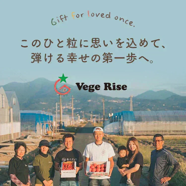 【予約】2027年1月以降より順次発送予定　家族の笑顔が広がる完熟ミニトマト「トマランタン」250g  （150g＋補償分100g）（補償分以上の不良は交換対応可能）　最低230g保証【カウシェファーム収穫対象商品】